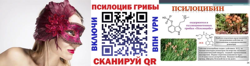 Галлюциногенные грибы Psilocybine cubensis  Вятские Поляны 